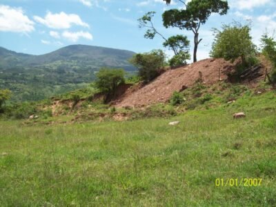 SE VENDE ROMANA GANADERA MANGA y TERRENO 2 Hs