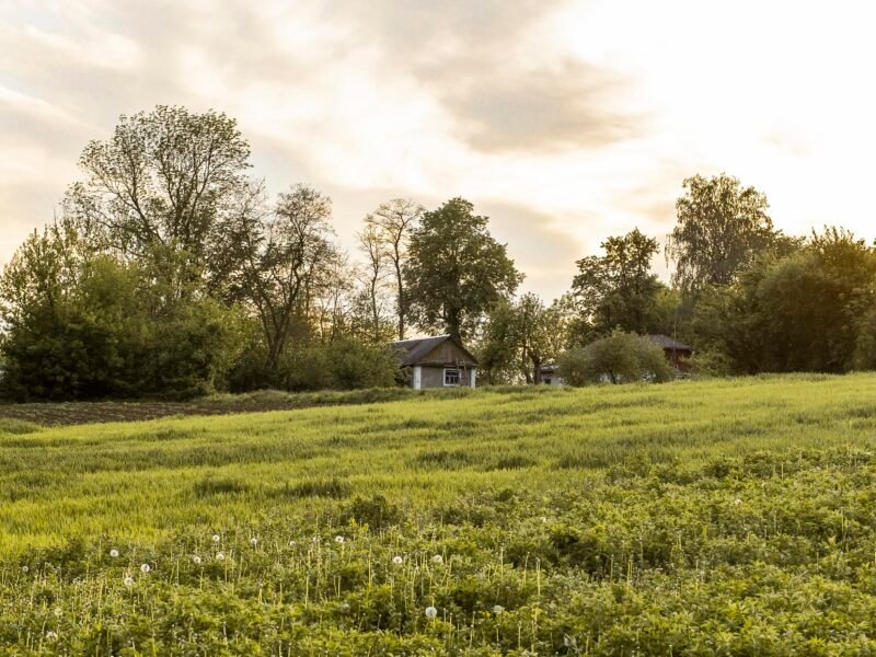 LA ROCA- VENDE FINCA EN LLANO CHICO